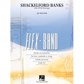 Shackelford Banks (Tale of Wild Mustangs)