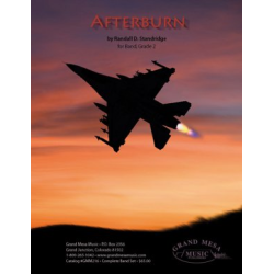         Afterburn - Randall D. Standridge
    