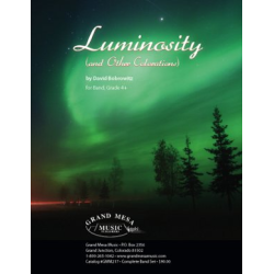         Luminosity (and Other Colorations) - David Bobrowitz
    