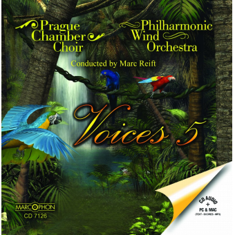 Voices 5