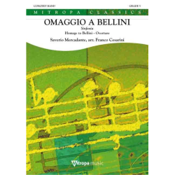         Omaggio a Bellini - Franco Cesarini
    