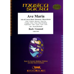         Ave Maria (Flute Solo) - Johann Sebastian Bach
    
