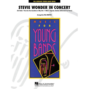 Stevie Wonder in Concert