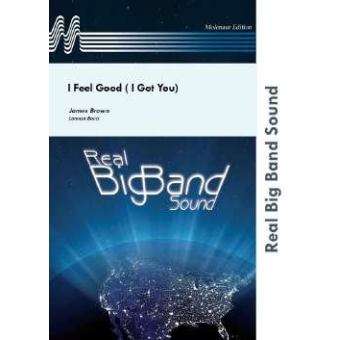 I Feel Good (I Got You)