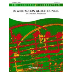         Es wird schon gleich dunkel - Michael Friedmann
    