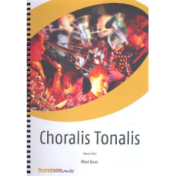         Ad Lucem - Jef Penders
    