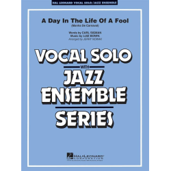         Day in the Life of a Fool - Jerry Nowak
    