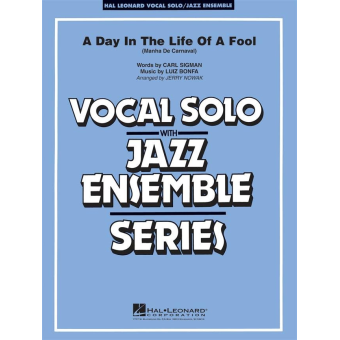 Day in the Life of a Fool