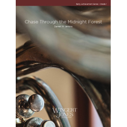         Chase Through The Midnight Forest - Darren W. Jenkins
    