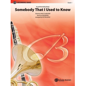Somebody That I Used To Know (c/b) - As performed by Gotye