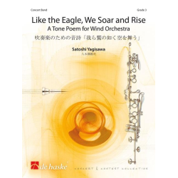         Like the Eagle, We Soar and Rise - Satoshi Yagisawa
    