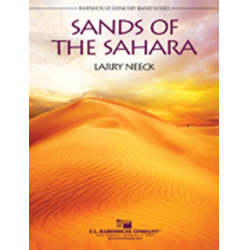         Sands of the Sahara - Larry Neeck
    