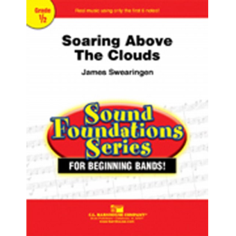 Soaring Above The Clouds