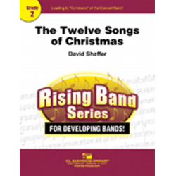         The Twelve Songs of Christmas - David Shaffer
    