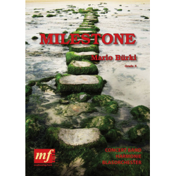         Milestone - Mario Bürki
    