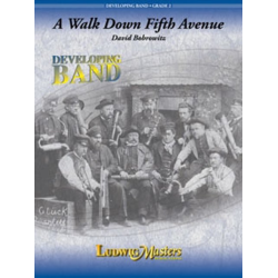         A Walk Down Fifth Avenue - David Bobrowitz
    