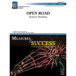         Open Road (c/b) - Robert Sheldon
    