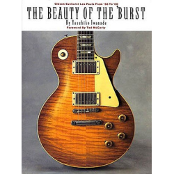         The Beauty Of The Burst - Yasuhiko Iwanade
    