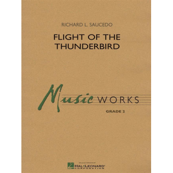 Flight of the Thunderbird