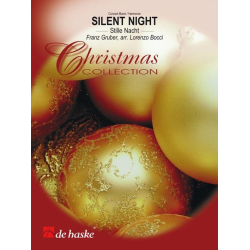         Silent Night - Franz Xaver Gruber / Arr. Lorenzo Bocci
    