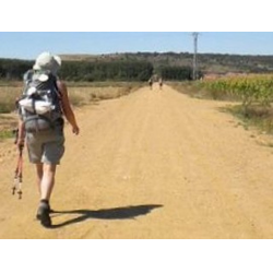         Pilcherchor - Richard Wagner / Arr. Willy Hautvast
    