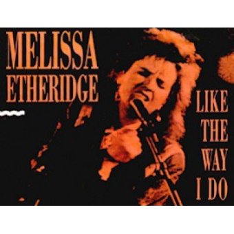 Like the Way I do - Harmonie