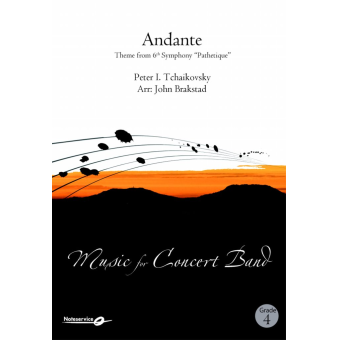 Andante - Theme from 6th Symphony "Pathetique"