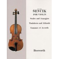         Etüden mit Tonleitern und Arpeggien über 2 Oktaven, Dreiklängen und technischen Übungen - Otakar Sevcik
    