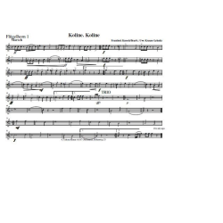         Koline, Koline - Frantisek Kmoch / Arr. Uwe Krause-Lehnitz
    