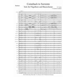         Comeback to Sorrento - Ernesto de Curtis / Arr. Uwe Krause-Lehnitz
    