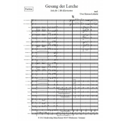         Gesang der Lerche - Traditional / Arr. Uwe Krause-Lehnitz
    