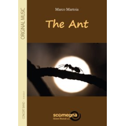         The Ant - Marco Martoia
    