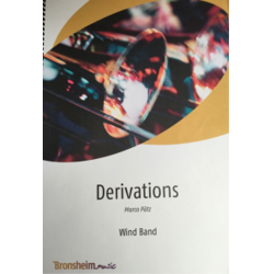         Derivations - Marco Pütz
    