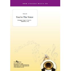         You're The Voice - John Farnham / Arr. Hagen A. Fritzsche
    