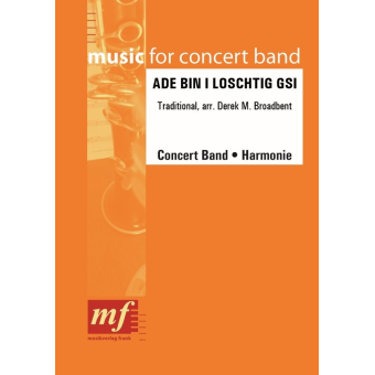 ADE BINI LUSCHTIG GSI