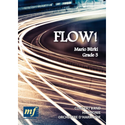         Flow! - Mario Bürki
    
