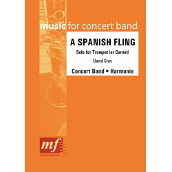         A SPANISH FLING - David Gray
    