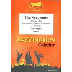         The Sycamore - Scott Joplin / Arr. Jirka Kadlec
    