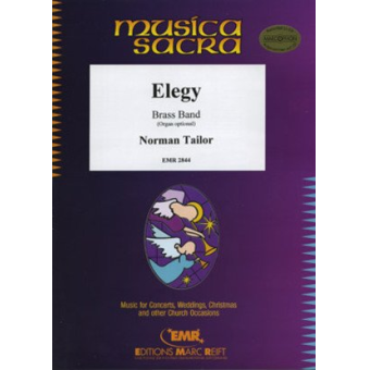 Elegy