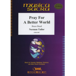         Pray For A Better World - Norman Tailor
    