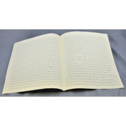         STAR Notenpapier - Quart  hoch 22 Systeme
    