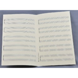         STAR Notenpapier - SO hoch 5x2 Systeme
    