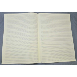         STAR Notenpapier - DIN A3 hoch 36 Systeme
    