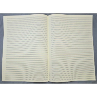 STAR Notenpapier - DIN A3 hoch 34 Systeme