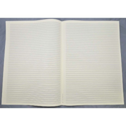         STAR Notenpapier - DIN A3 hoch 44 Systeme
    