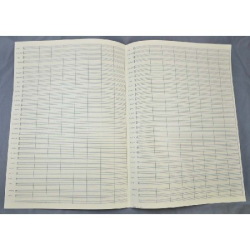         STAR Notenpapier - DIN A3 Instvordr. modernes
    