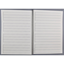         Notenhefte - DIN A 4 Spirale 4x4 Systeme
    