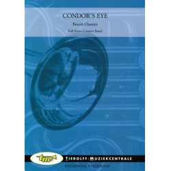         Condor's Eye - Benoit Chantry
    