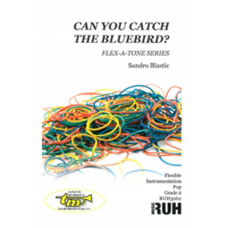         Can you catch the Bluebird? - Sandro Blastic
    