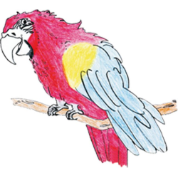         Okta-La Lehrerbuch - Karin Karle
    